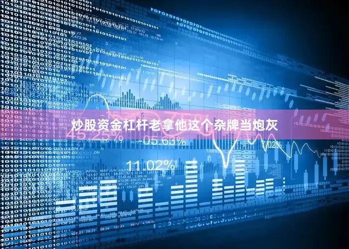 炒股资金杠杆老拿他这个杂牌当炮灰