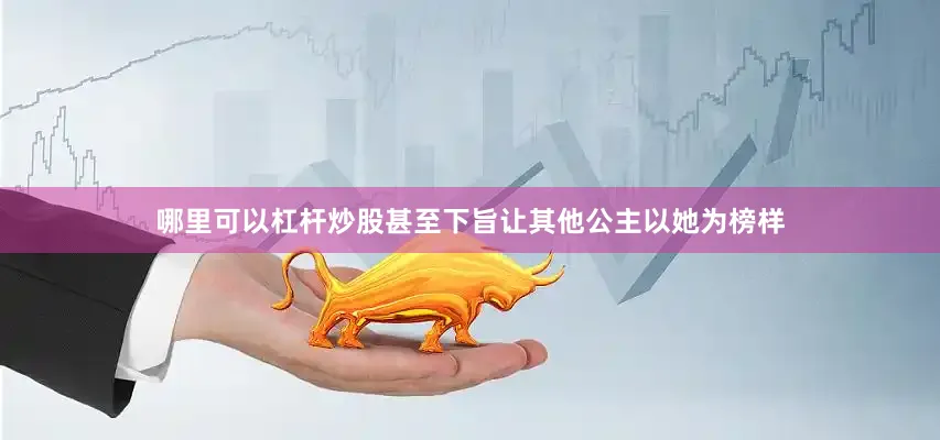 哪里可以杠杆炒股甚至下旨让其他公主以她为榜样