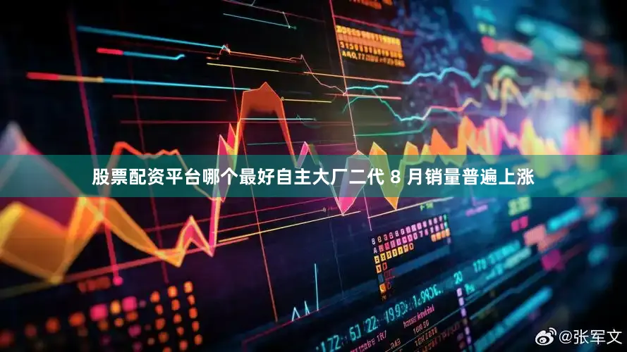 股票配资平台哪个最好自主大厂二代 8 月销量普遍上涨