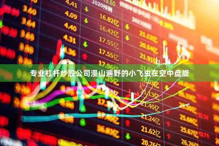 专业杠杆炒股公司漫山遍野的小飞虫在空中盘旋